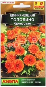 Цинния изящная Тополино бронзовая