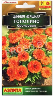 Цинния изящная Тополино бронзовая