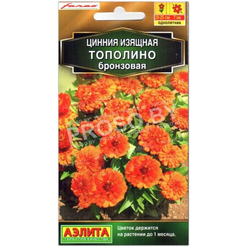 Цинния изящная Тополино бронзовая