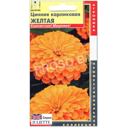 Цинния карликовая Желтая