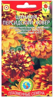 Цинния Персидский ковер, смесь
