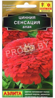 Цинния Сенсация алая
