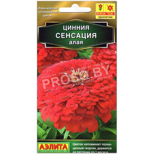 Цинния Сенсация алая