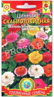 Цинния Скабиозовидная, смесь