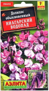 Долихос Ниагарский водопад