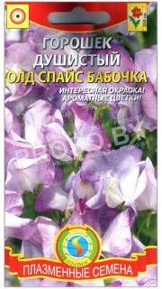 Душистый горошек Олд спайс бабочка