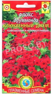 Флокс друммонда Клюквенный джем