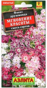 Флокс друммонда Мгновение красоты, смесь
