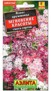 Флокс друммонда Мгновение красоты, смесь