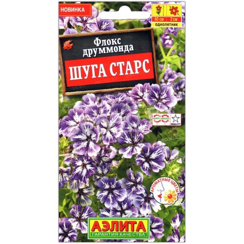 Флокс друммонда Шуга старс