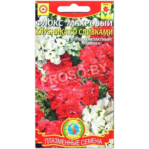 Флокс махровый Клубника со сливками, смесь
