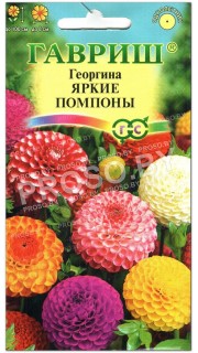 Георгина Яркие помпоны, смесь