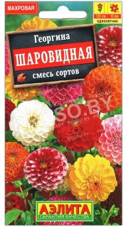 Георгина Шаровидная, смесь