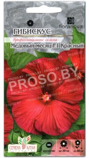 Гибискус Медовый месяц красный F1
