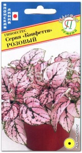 Гипоэстес Розовый, серия Конфетти
