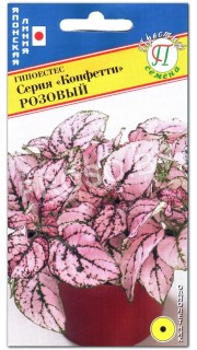Гипоэстес Розовый, серия Конфетти