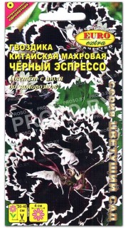 Гвоздика Черный эспрессо, китайская