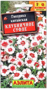 Гвоздика китайская Клубничное суфле