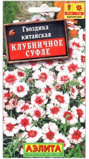 Гвоздика китайская Клубничное суфле