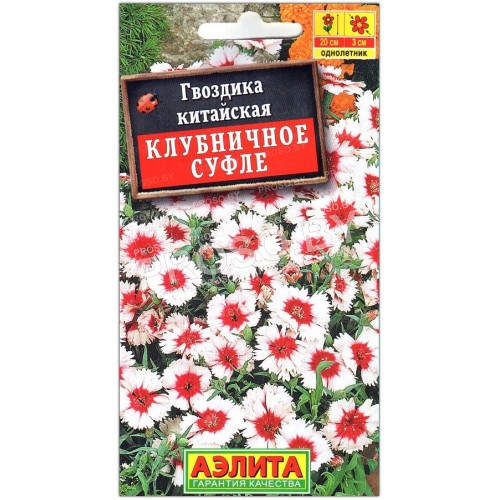 Гвоздика китайская Клубничное суфле