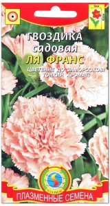 Гвоздика садовая Ля франс