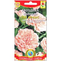 Гвоздика садовая Ля франс