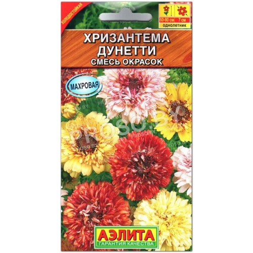 Хризантема Дунетти, смесь-1