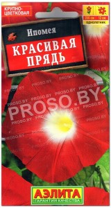 Ипомея Красивая прядь