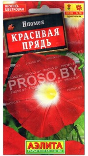 Ипомея Красивая прядь