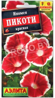 Ипомея Пикоти красная