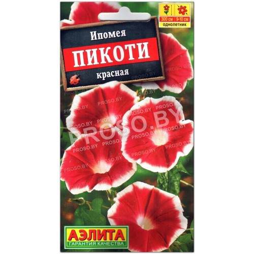 Ипомея Пикоти красная