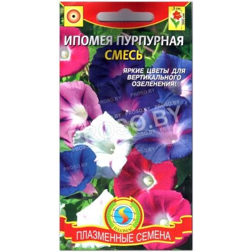 Ипомея Пурпурная, смесь-1
