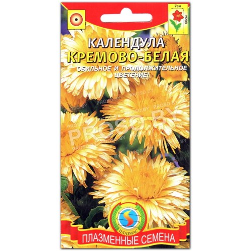 Календула Кремово-белая