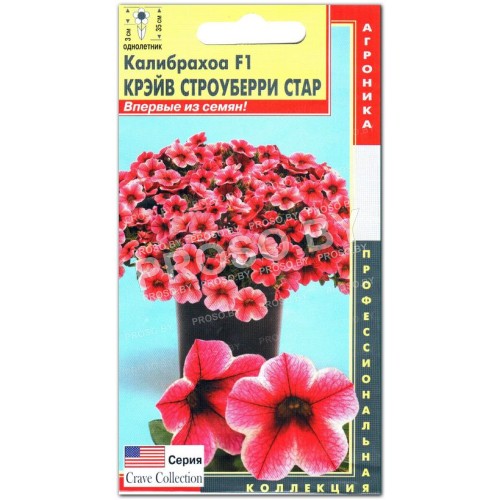 Калибрахоа Крэйв строуберри стар