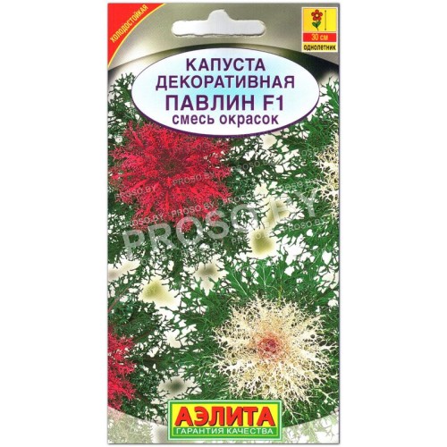 Капуста декоративная Павлин F1, смесь