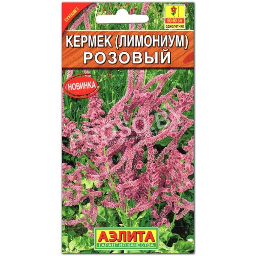 Кермек (лимониум) Розовый