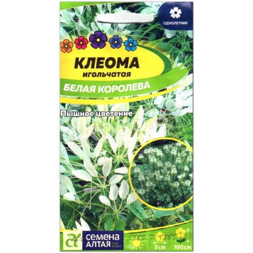 Клеома Белая королева-1
