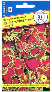 Колеус Роза F1