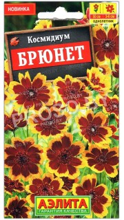 Космидиум Брюнет