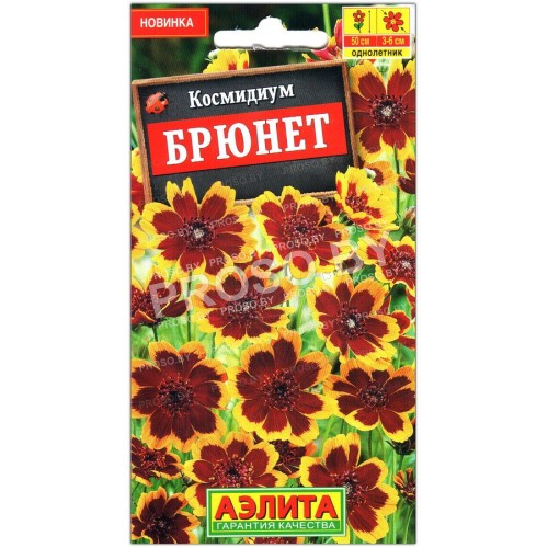 Космидиум Брюнет