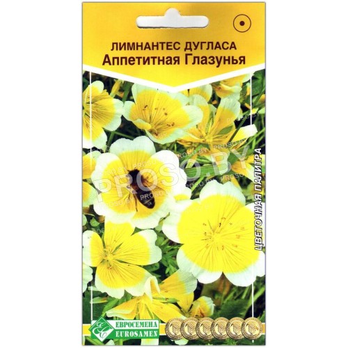 Лимнантес дугласа Аппетитная глазунья