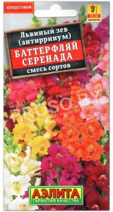 Львиный зев Баттерфляй серенада, смесь
