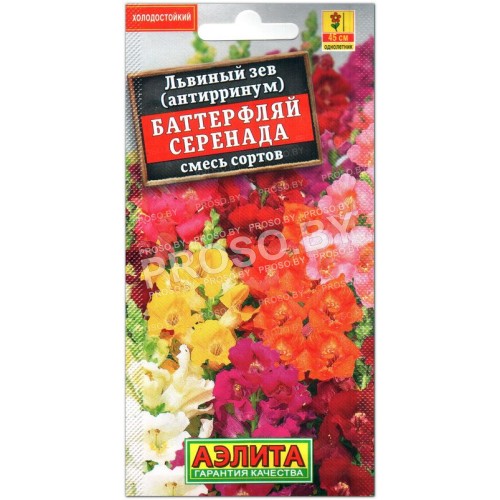 Львиный зев Баттерфляй серенада, смесь