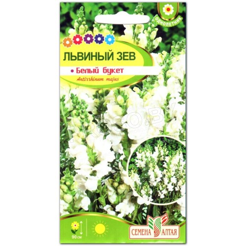 Львиный зев Белый букет