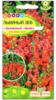 Львиный зев Оранжевый сфинкс