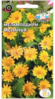 Меламподиум Меланья