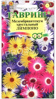 Мезембриантемум хрустальный Лимпопо