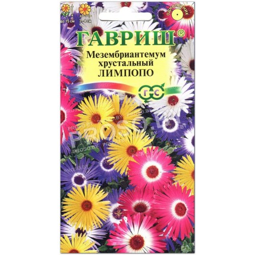 Мезембриантемум хрустальный Лимпопо