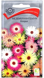 Мезембриантемум Искорки