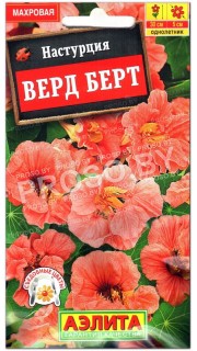 Настурция Верд берт